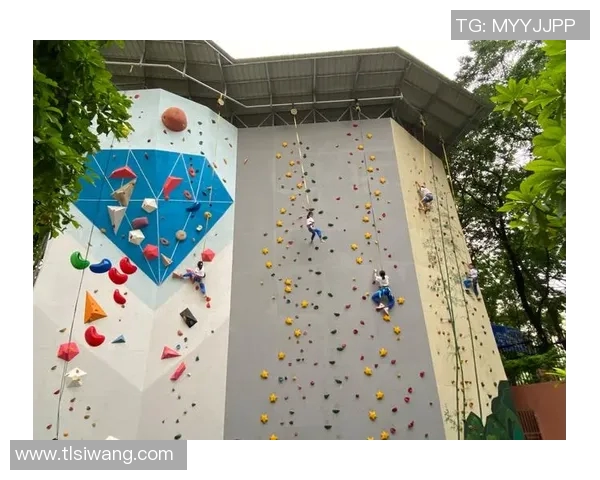 北京攀岩队的节奏得失分析与未来发展展望