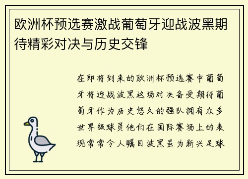 欧洲杯预选赛激战葡萄牙迎战波黑期待精彩对决与历史交锋